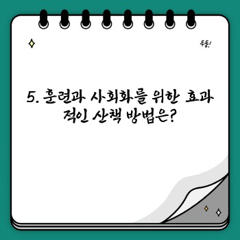 a9bdaf80ba39b396f6f20af908166a5a.jpg