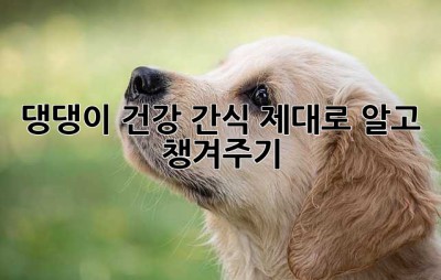 댕댕이 건강 간식, 제대로 알고 챙겨주기🐶