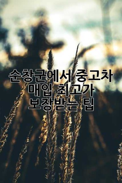 순창군에서 중고차 매입, 최고가 보장받는 팁!