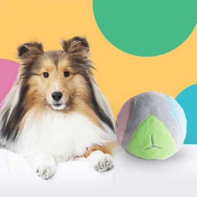 멍뭉미 폭발! 로봇개 장난감 솔직 후기 & 꿀팁 대방출 🐶💖