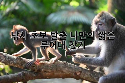 낚시 초보 탈출! 나만의 짧은 루어대 찾기 ✨