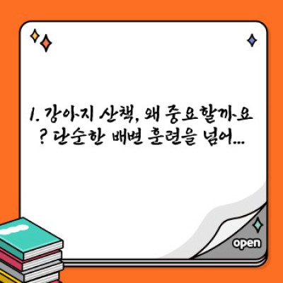 강아지 산책 완벽 가이드: 시간, 장소, 방법, 주의사항 총정리!