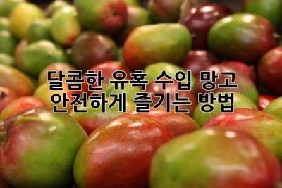 달콤한 유혹, 수입 망고 안전하게 즐기는 방법🥭