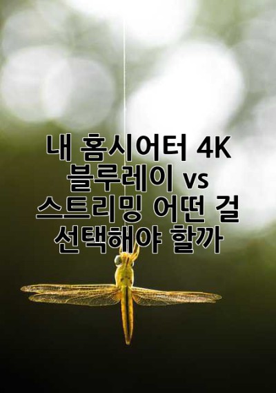 내 홈시어터, 4K 블루레이 vs 스트리밍: 어떤 걸 선택해야 할까? 🤔