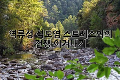 역류성 식도염, 스트레스와의 전쟁 이겨내기