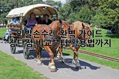 외발손수레 완벽 가이드 🧰 장단점 비교부터 활용법까지!