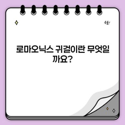 로마오닉스 귀걸이: 완벽한 스타일 가이드 & 구매 가이드