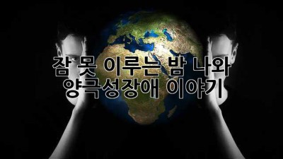 잠 못 이루는 밤, 나와 양극성장애 이야기