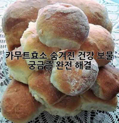 카무트효소🌾 숨겨진 건강 보물? 궁금증 완전 해결! ✨
