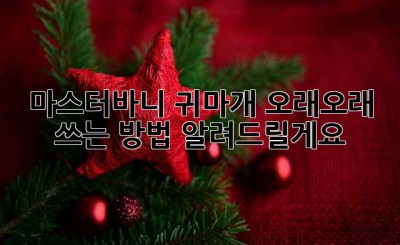 마스터바니 귀마개, 오래오래 쓰는 방법 알려드릴게요! 💖