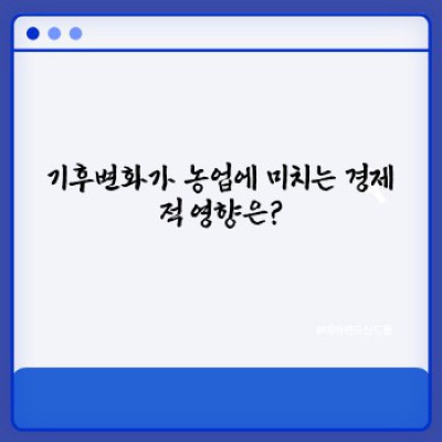 기후변화가 돈주머니를 털어간다? 기후 위기의 경제적 충격과 대응 전략