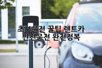 초보운전 꿀팁🍯 렌트카 안전운전 완전정복!
