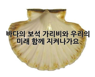 바다의 보석, 가리비와 우리의 미래: 함께 지켜나가요!