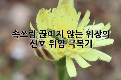 속쓰림, 끊이지 않는 위장의 신호? 위염 극복기!
