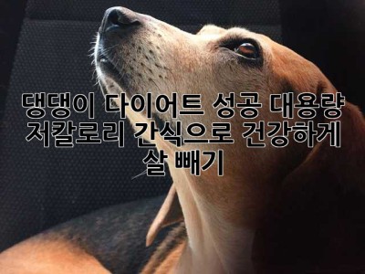 댕댕이 다이어트 성공! 대용량 저칼로리 간식으로 건강하게 살 빼기🐶