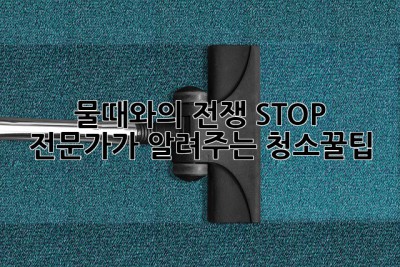 🚿 물때와의 전쟁 STOP! 전문가가 알려주는 ✨청소✨꿀팁