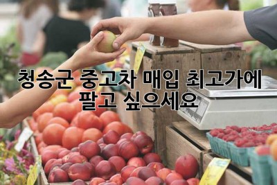 청송군 중고차 매입, 최고가에 팔고 싶으세요?