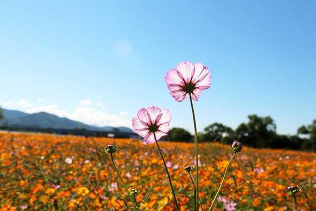양주008.jpg